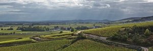 La Terrasse des Climats Bourgogne