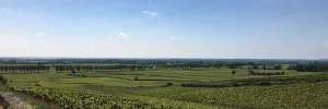 La Terrasse des Climats region Beaune