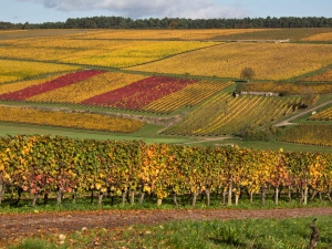 Location saisonnière Beaune