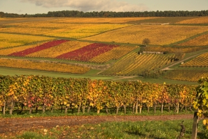 Mois des Climats de Bourgogne à l'Automne