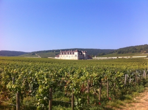 Clos de Vougeot, Grand cru de Bourgogne