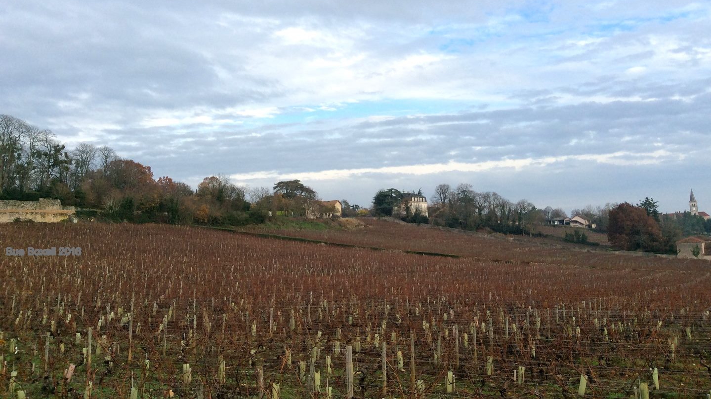 Sur Boxell, Burgundy on a plate, Partyenaire de la Terrasse des Climats