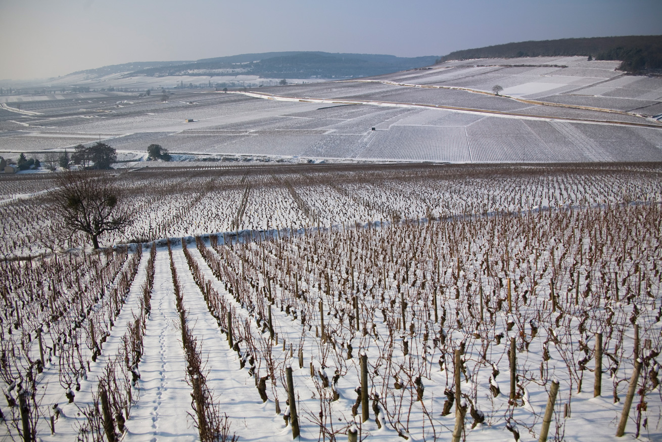 La côte d'Or en hiver-La Terrasse des Climats